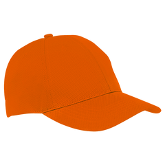 6 Panel Alloy Cap