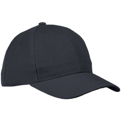 6 Panel Raven Cap