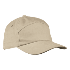 6 Panel Carbon Cap