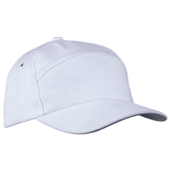 6 Panel Carbon Cap