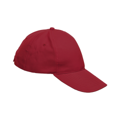 6 Panel Boost Cap